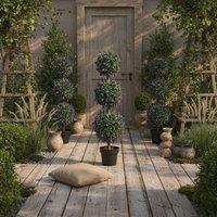 Wyld Haus Lazi Set of 2 Artificial Lavender Ball Trees in Decorative Pots 110cm in Green