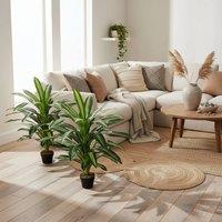 Wyld Haus Baketto Set of 2 Artificial Dracaena Style Indoor Plants in Green