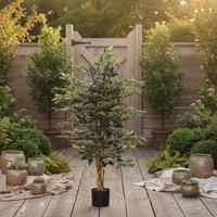 Wyld Haus Diraco Set of 2 Artificial Ficus Trees for Indoor Decor in Green