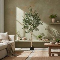 Wyld Haus Toradi 150 cm Artificial Olive Style Tree with Silk Leaf Finish in Green