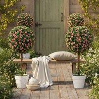 Wyld Haus Roviyo Set of 2 Artificial Pink Rose Topiary Ball Trees in Pots 60cm