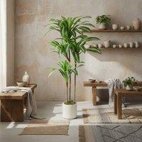 Wyld Haus Mivi 120cm Artificial Dracaena Tree with Flexible Trunks Green