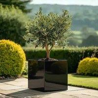Woven Wood 50cm Zinc Platinum Black Square Planter