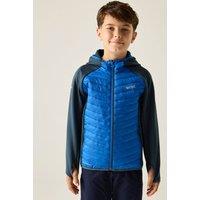 Regatta Junior Andreson Hybrid Quilted Jacket in Bright Blue | Size: 15-16 Years