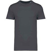 Native Spirit Men's Heavyweight Slim T-Shirt in Grey | Size: Small