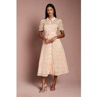 Coast Women's Petite Floral Lace Collared Midi Dress in Nude | Size: 8