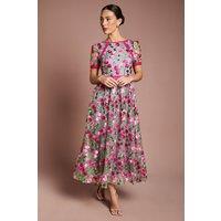 Coast Women's Lace Trim Detail Embroidered Mesh Midi Dress in Pink | Size: 12
