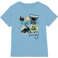 How To Train Your Dragon Don'T Mess With My Dragon Badges Kids T-Shirt, Light Blue | Size: 5-6 Years