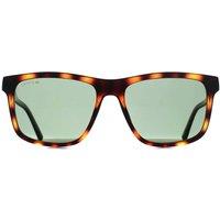Lacoste Men's Square Tortoise Green L6025S in Brown