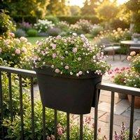 EONLION Flower Bridge Hanging Planter Plant Pot in Black | Size: 100g