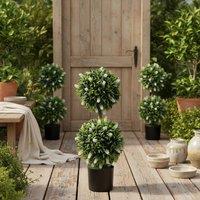 Wyld Haus Kelola Set of 2 Artificial Lavender Ball Trees in Pots 70cm White