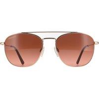 Serengeti Aviator Shiny Rose Gold Mineral Drivers Gradient Carroll