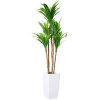 VOGREX 4.82 FT Artificial Brazilian Wood Tree in Pot Decorative in Green