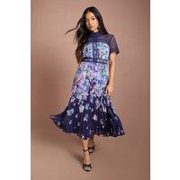 Coast Women's Petite Lisa Tan Lace Pleated Printed Midi Dress in Navy | Size: 8
