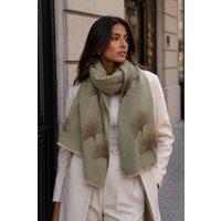 Lemon Daisy Accessories Women's Kaeli Elegant Scarf Shawl in Green