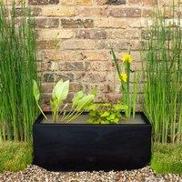 Primrose Complete Pond In A Pot Kit with Zinc Trough Planter in Black 24cm