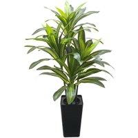VOGREX Artificial Plants Dracaena Tree 180cm Artificial Plants in Green