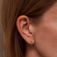 Gold Trip Women's Aquarius Zodiac Constellation Earrings in Gold