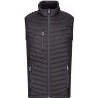 Regatta Professional Men's Quilted Hybrid Gilet in Dark Navy | Size: Medium