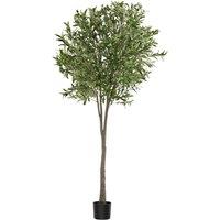 tectake Artificial Plant - Olive Tree, Realistic Look, Low-Maintenance in Green | Size: 180 cm