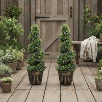 Wyld Haus Ribara Set of 2 Artificial Lavender Topiary Trees 115cm in Green