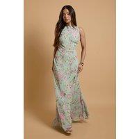 Oasis Women's Petite Lace Cowl Back Chiffon Printed Maxi Dress in Blue | Size: 12