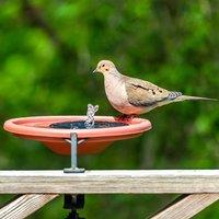 Ventryn Solar Floating Fountain Birdbath Garden Decor in Black