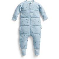 ergoPouch 100% GOTS Winter Long Sleeved Sleep Onesie - 3.5 TOG Dragonflies in Light Blue | Size: 2-3 Years