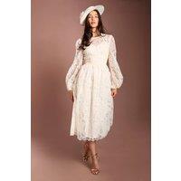 Coast Women's Lisa Tan Sleeve Embroidered Organza Midi Dress in Ivory | Size: 14