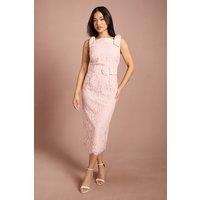 Coast Women's Petite Bow Shoulder Belted Lace Dress in Blush | Size: 6