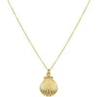 Latelita Women's Scallop Mini Shell Necklace Gold