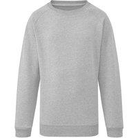 David Luke Unisex Crew Neck School Jumper in Light Grey | Size: 2-3 Years