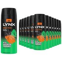 Lynx Men's Body Spray Jungle Fresh 48H HD Fragrance Deodorant 150ml, 12 Pack in Black