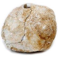 KDMD Calsite Geodes 10 12cm Natural Crystal Display & Collection in Brown