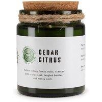 KDMD Greenman Cedar Citrus Soy Candle with Wood Wick Crackle in Green