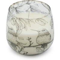 KDMD Medium Glass Jar Bird Botanical Candle Drawn by Flame 45 Hours in White
