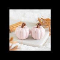 KDMD Pink Curly Pumpkin Salt & Pepper Shakers for Table in Dusty Pink