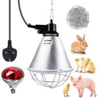 Kelvenix Infrared Heat Lamp Animals With 250W Bulb in Silver