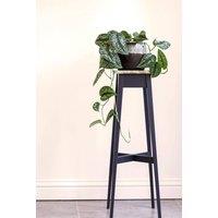 Statement Furniture Florence Plant Stand - Wooden Plant Holder, 80cm Tall in Navy