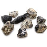 KDMD Silverleaf Jasper XL Tumble Stones Natural Leaf Pattern Polished in Black