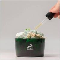 KDMD The Magician Diffusing Crystal & Floral Set Aventurine in Green