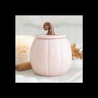 KDMD Pink Curly Pumpkin Oil Burner for Autumn Fragrance in Dusty Pink
