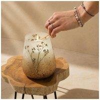 KDMD Wildlight Woods Tall Glass Jar Candle 150 Hour in Brown