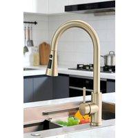 JANLEMNY Brushed Gold Stainless Steel Kitchen Mixer Tap with Pull-Down Sprayer | Size: 1000mm x 400mm
