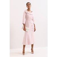 Phase Eight Women's Petite Sienna Dress in Pale Pink | Size: 10