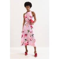 Phase Eight Women's Petite Bethany Halter Neck A-Line Dress in Light Pink | Size: 18