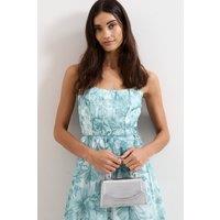 Phase Eight Women's Top Handle Clutch in Metallic Silver