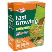 Doff ' Fast Growing' Lawn Seed 1kg in Green