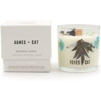 KDMD Agnes & Cat Botanical Soy Wax Candle Sea Salt & Moss 350g in White