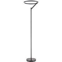 Happy Homewares Modern Designer Floor Lamp with Large LED Halo Light Ring in Black